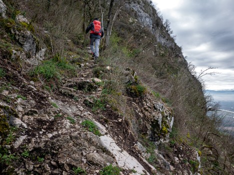 Sentier du Picotin, mars 2020