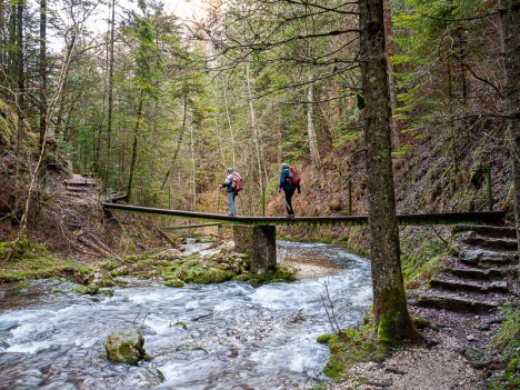 Passerelle sur le Bruyant, janv. 2011