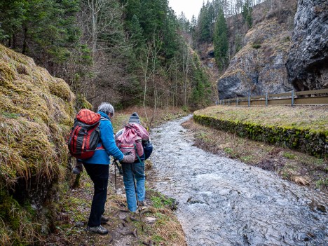 Au fond des Gorges du Furon, janv. 2011