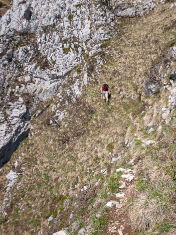 Dans la pente herbeuse du haut d'un couloir, mai 2011