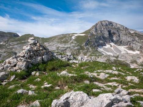 La Grande Moucherolle, juin 2018