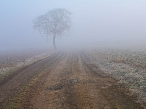 Les Grosses Coudres, Druyes-les-Belles-Fontaines