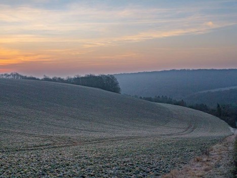Les Petites Vignes, Druyes-les-Belles-Fontaines