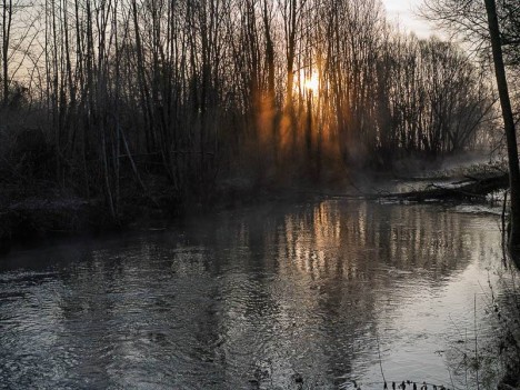 Au bord de la rivière, Druyes-les-Belles-Fontaines