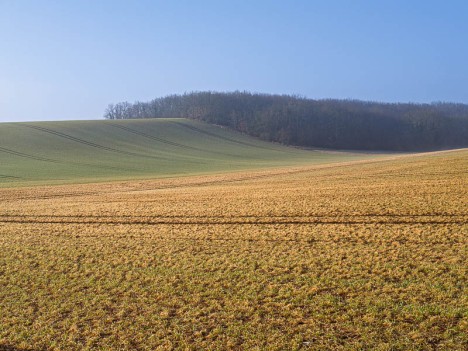 Les Grands Champs, Druyes-les-Belles-Fontaines