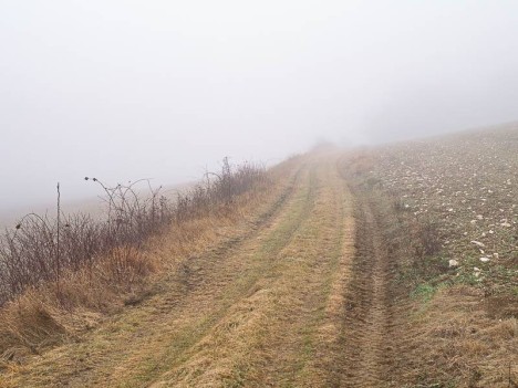 Brouillard sur le chemin de Courson-les-Carrières