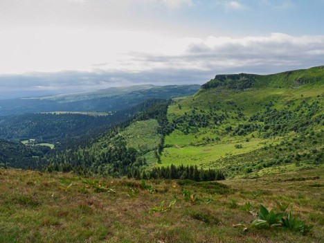 Le Cirque de Chamalière
