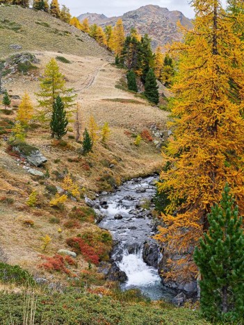 Vallée de la Clarée