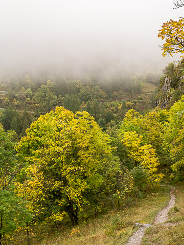 Automne sur le sentier du Rocher Saint-Pierre