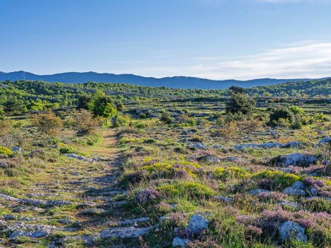 L'ancienne voie romaine du Plateau de Cavillore