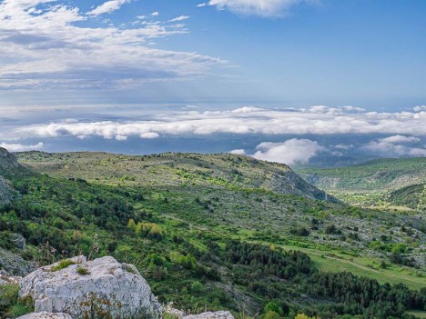 Le Plateau de Cavillore