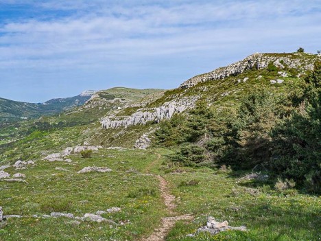 Au pied de la Colle de Rougiès