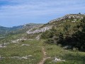 Au pied de la Colle de Rougiès