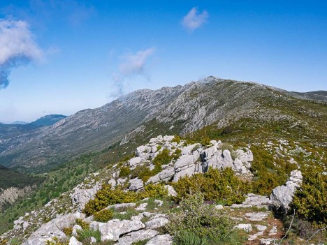 Descente vers le Col de Coursegoules