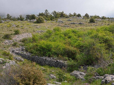Enclos du Plan