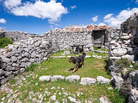 Bergerie du Teil, enclos et capitelle, plateau de Calern