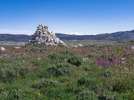Cairn fleuri d'orchidées face au Mercantour enneigé