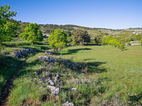 Verdure avant le Plateau de Calern, minéral