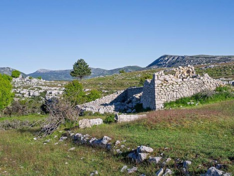 Ruines d'une bergerie sur le Plateau de Caussols