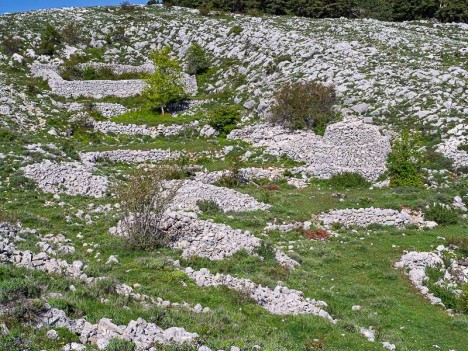 Capitelle et enclos du Col du Clapier