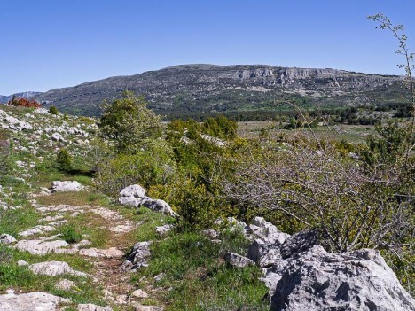 Sous le Col du Clapier, le Sommet de Calern