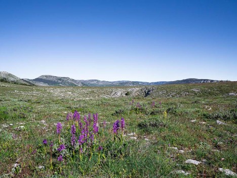 La Montagne de Thiey au loin