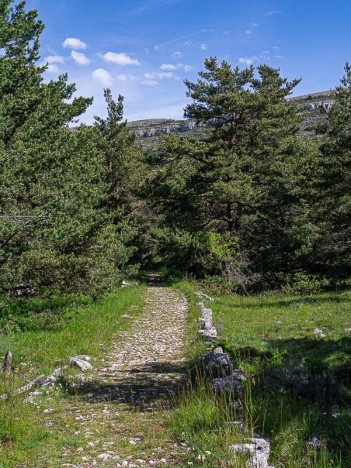 La voie romaine du Plateau de Caussols