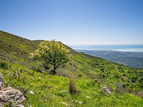 Sous Puy de Naouri, la Baie des Anges