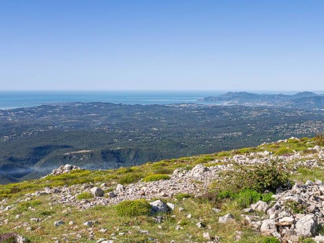 Le Cap d'Antibe et l'Esterel