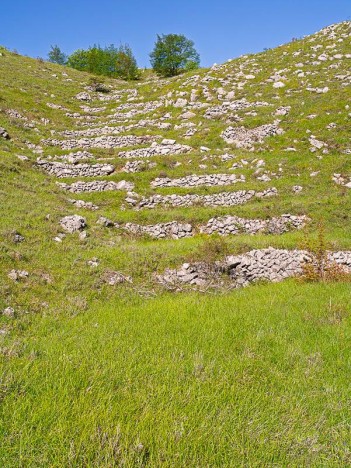 Restanque de la Combe de la Baïsse