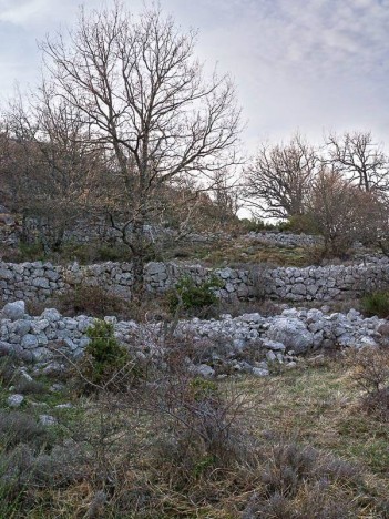 Restanques des ruines du Puy de Tourrettes