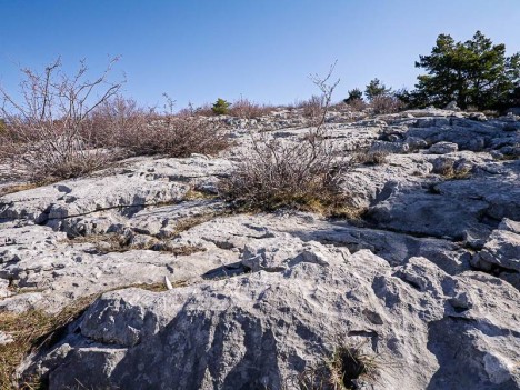 Lapiaz du versant Ouest de la Montagne du Cheiron