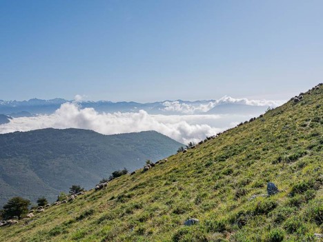 Mer du nuages sur la vallée du Var
