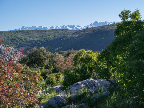 Depuis le Baou de Saint-Jeannet, le Mercantour enneigé