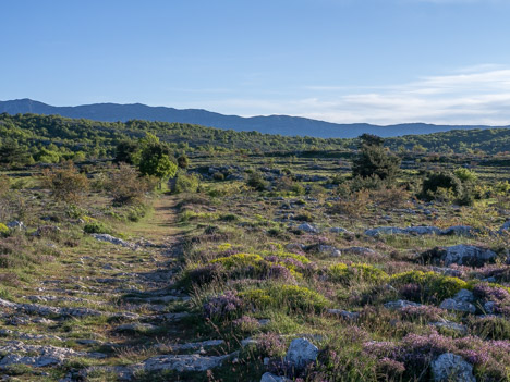 L'ancienne voie romaine du Plateau de Cavillore