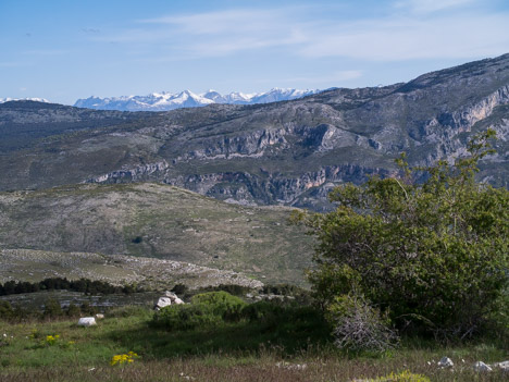 Le Plateau de Calern, Montagne du Cheiron, le Mercantour à l'horizon