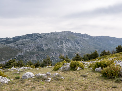 Cime du Cheiron et Jérusalem