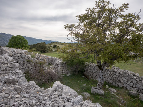 Ruine de pierres sèches