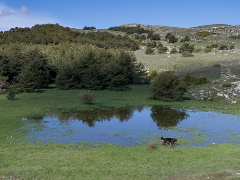 Plateau de Calern, embut (entonnoir en occitan), doline inondée