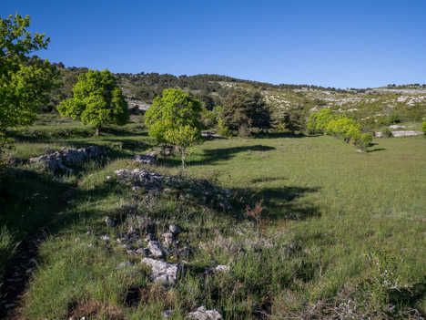 Verdure avant le Plateau de Calern, minéral