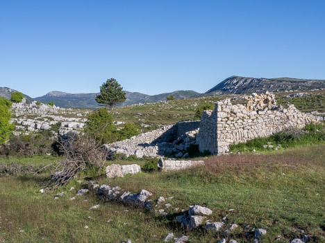 Ruines d'une bergerie sur le Plateau de Caussols