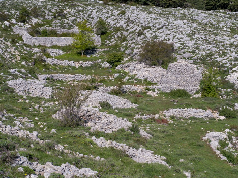Capitelle et enclos du Col du Clapier