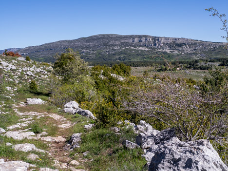 Sous le Col du Clapier, le Sommet de Calern