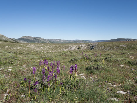 La Montagne de Thiey au loin