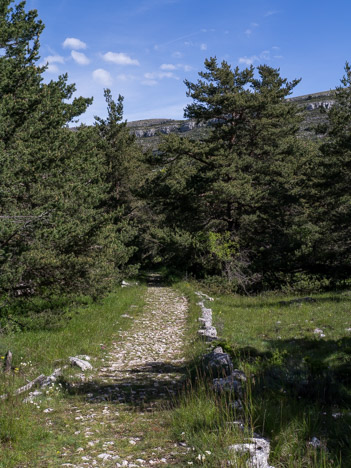 La voie romaine du Plateau de Caussols