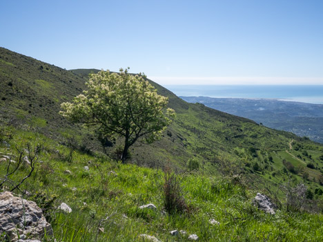 Sous Puy de Naouri, la Baie des Anges