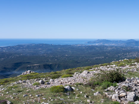 Le Cap d'Antibe et l'Esterel