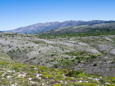 Puy de Naouri, la Cime du Cheiron