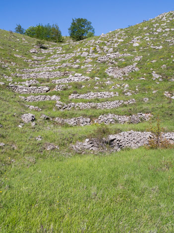 Restanque de la Combe de la Baïsse