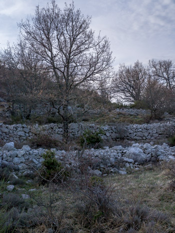 Restanques des ruines du Puy de Tourrettes
